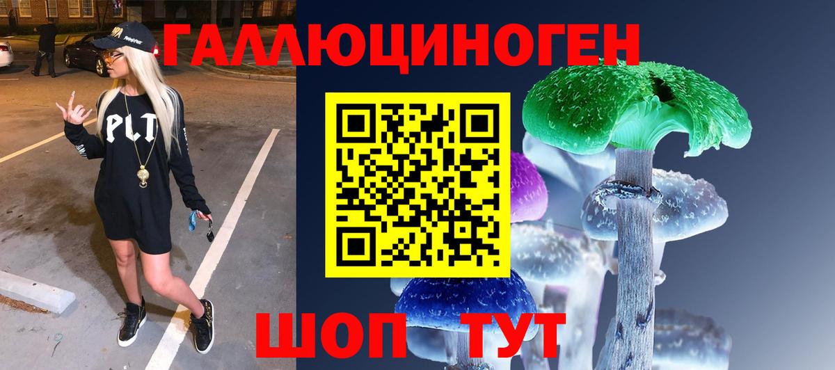 Псилоцибиновые грибы Cubensis Дмитров