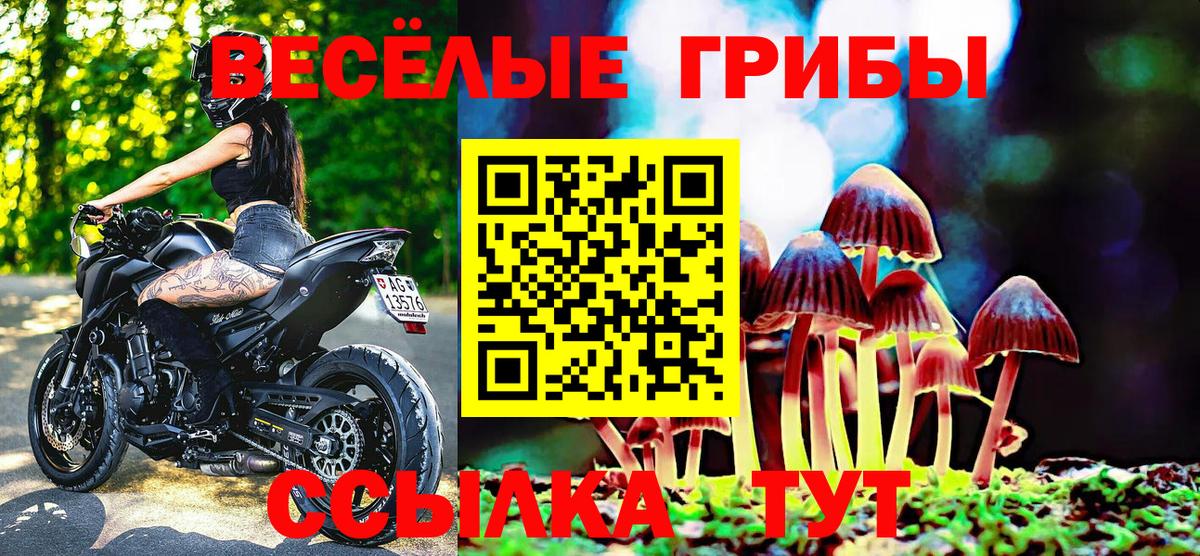 Дмитров  Галлюциногенные грибы Magic Shrooms  Вход с VPN 